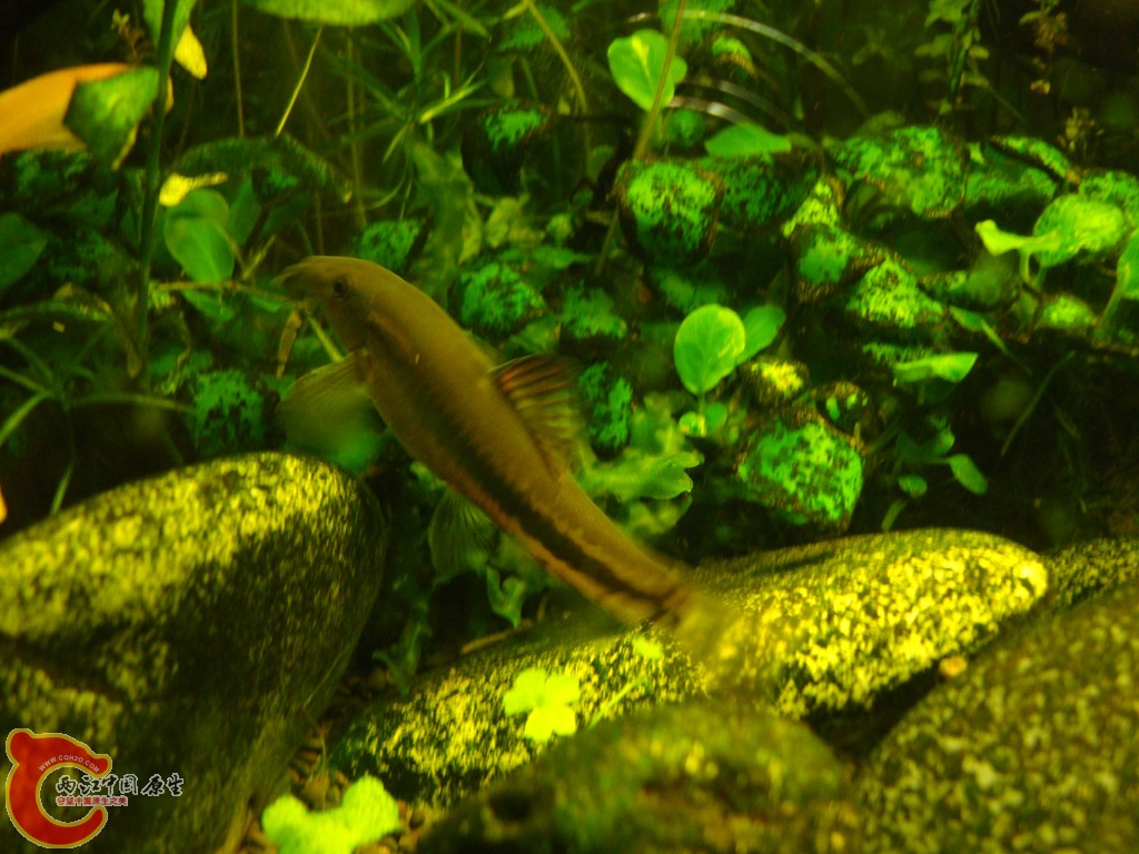 DSC06942.JPG