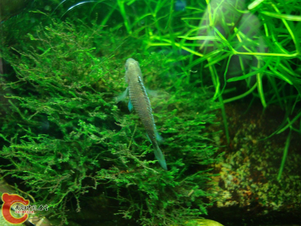DSC06521.JPG
