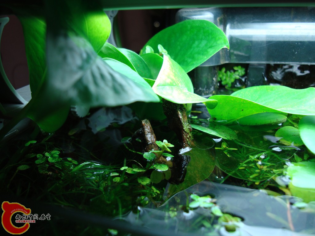DSC06760.JPG