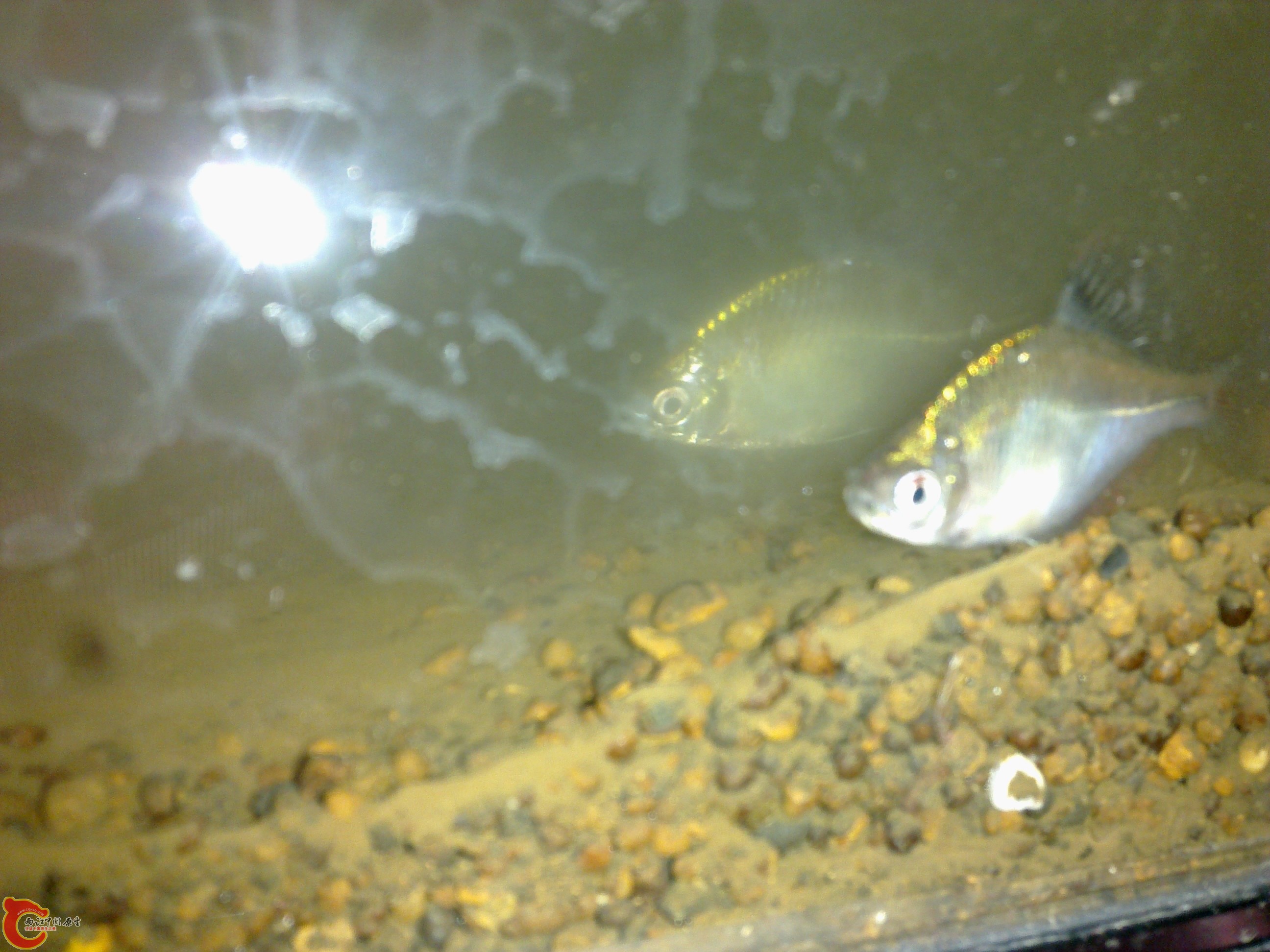 20111202395.jpg