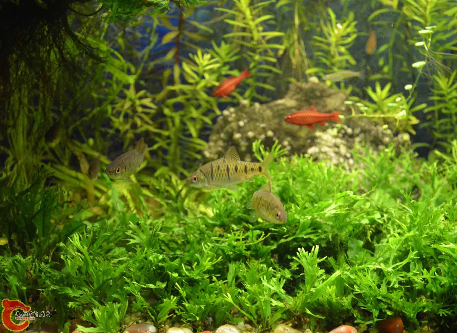 照片 012.jpg