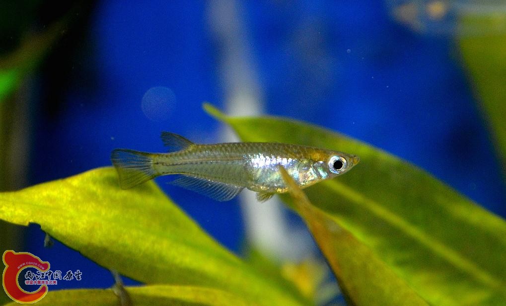 DSC_4991.JPG