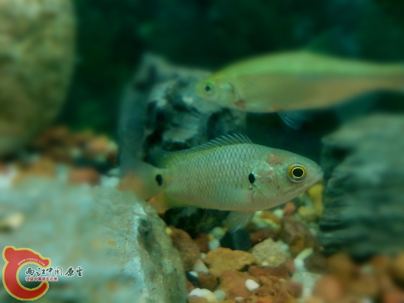 DSC00687_副本.jpg