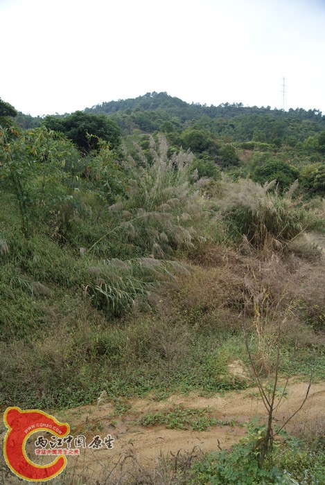 29.jpg