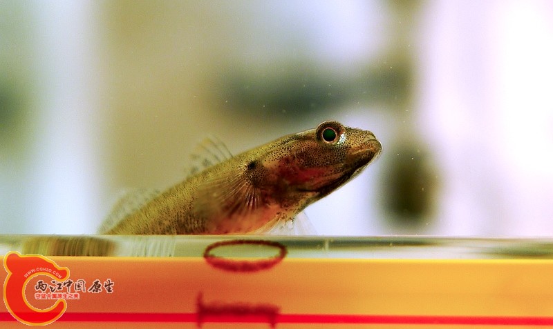 L1040473.JPG