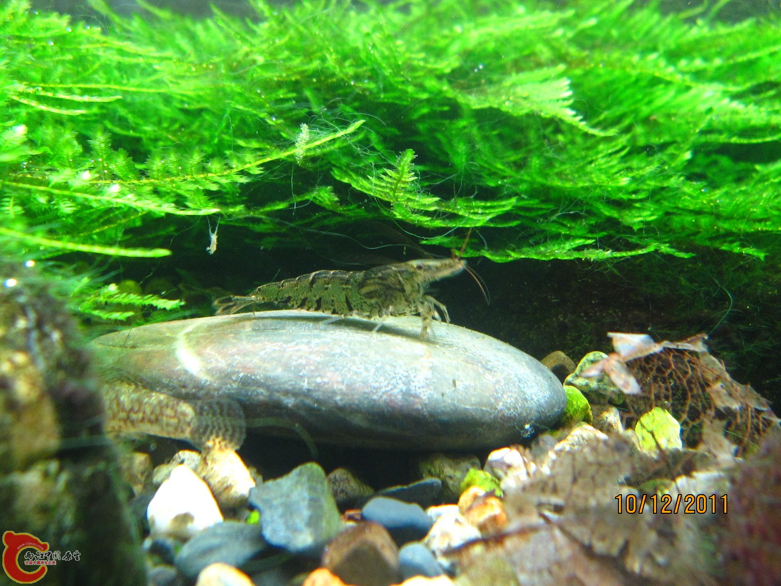 IMG_7776.JPG