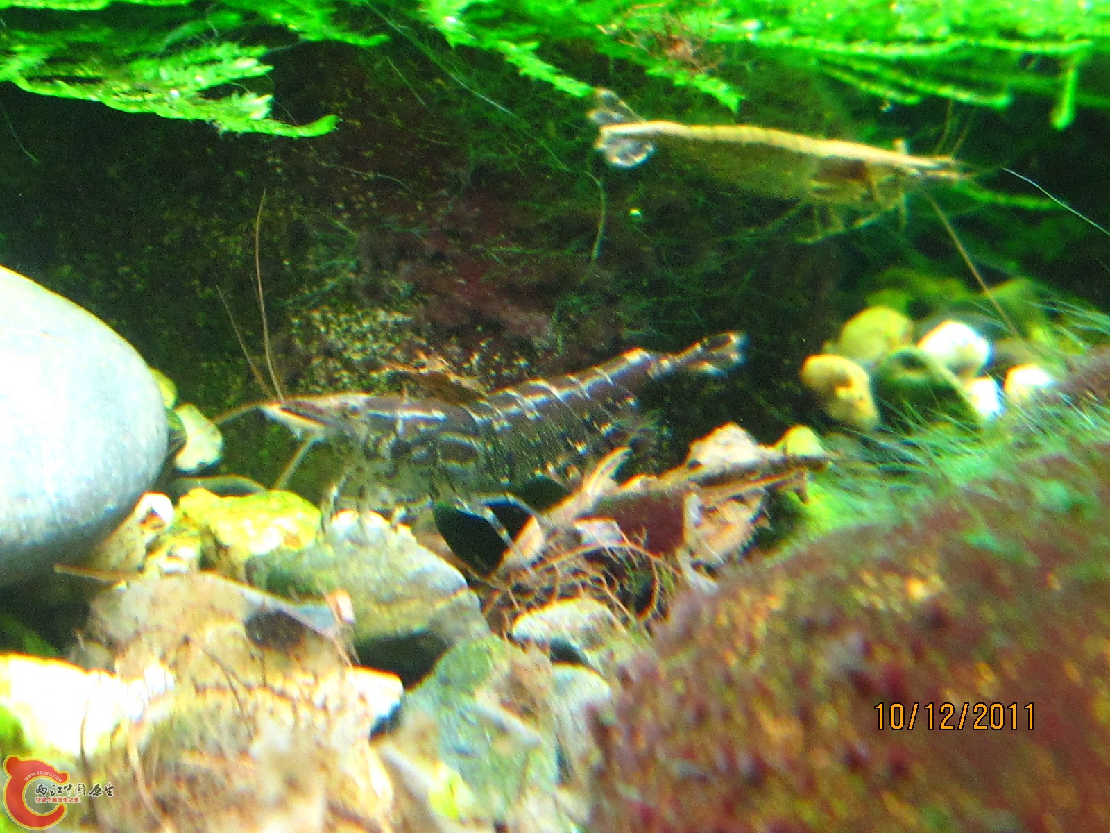 IMG_7791.JPG