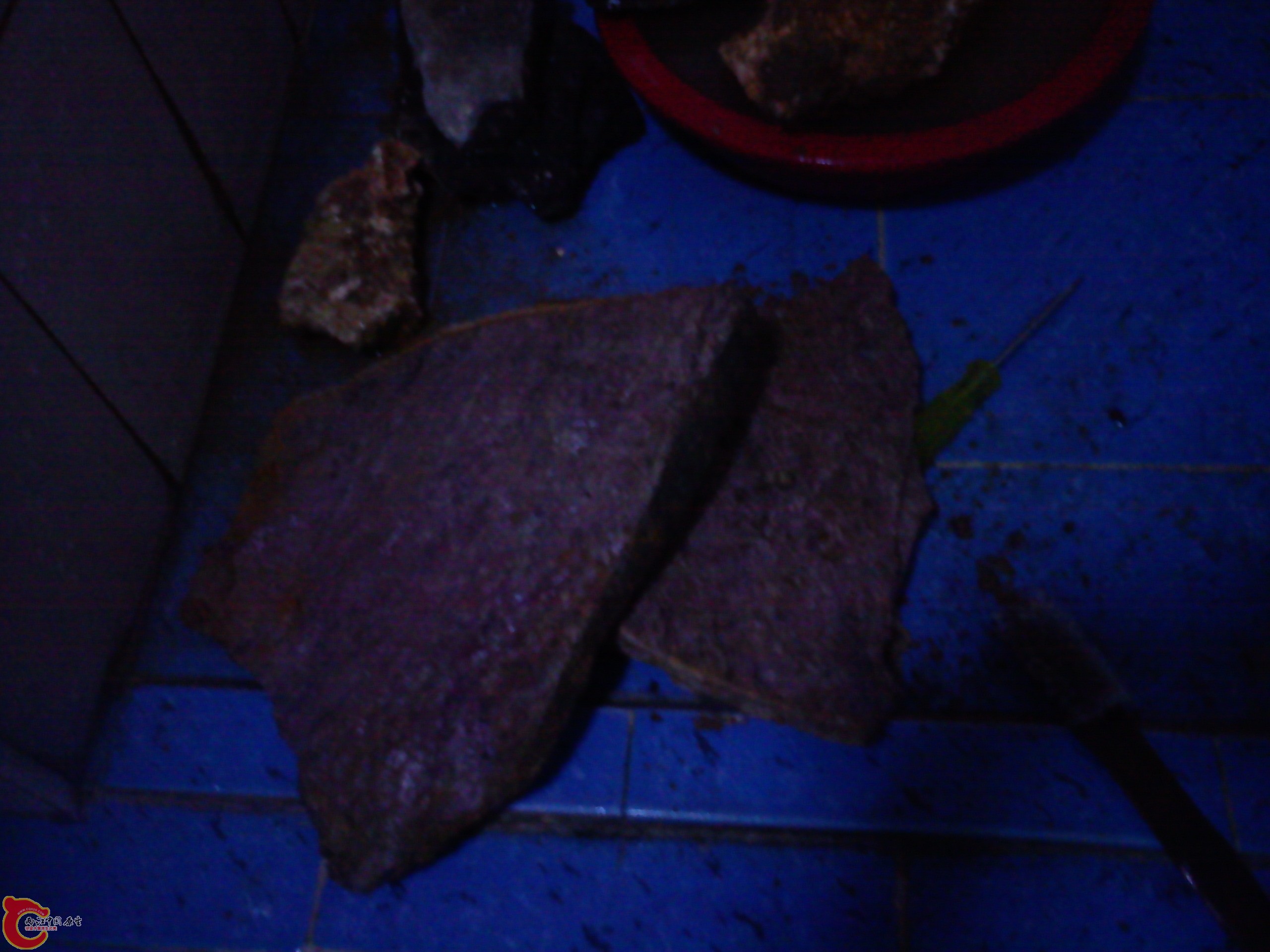 Camera_20111205_070631.jpg