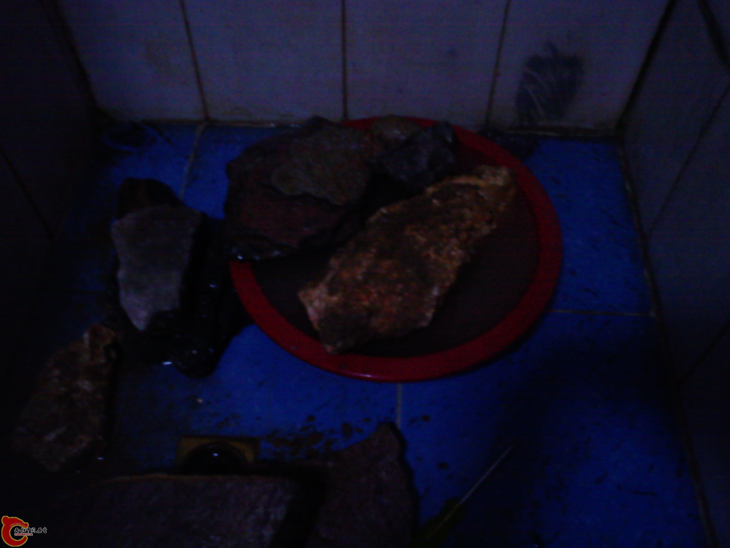 Camera_20111205_070649.jpg