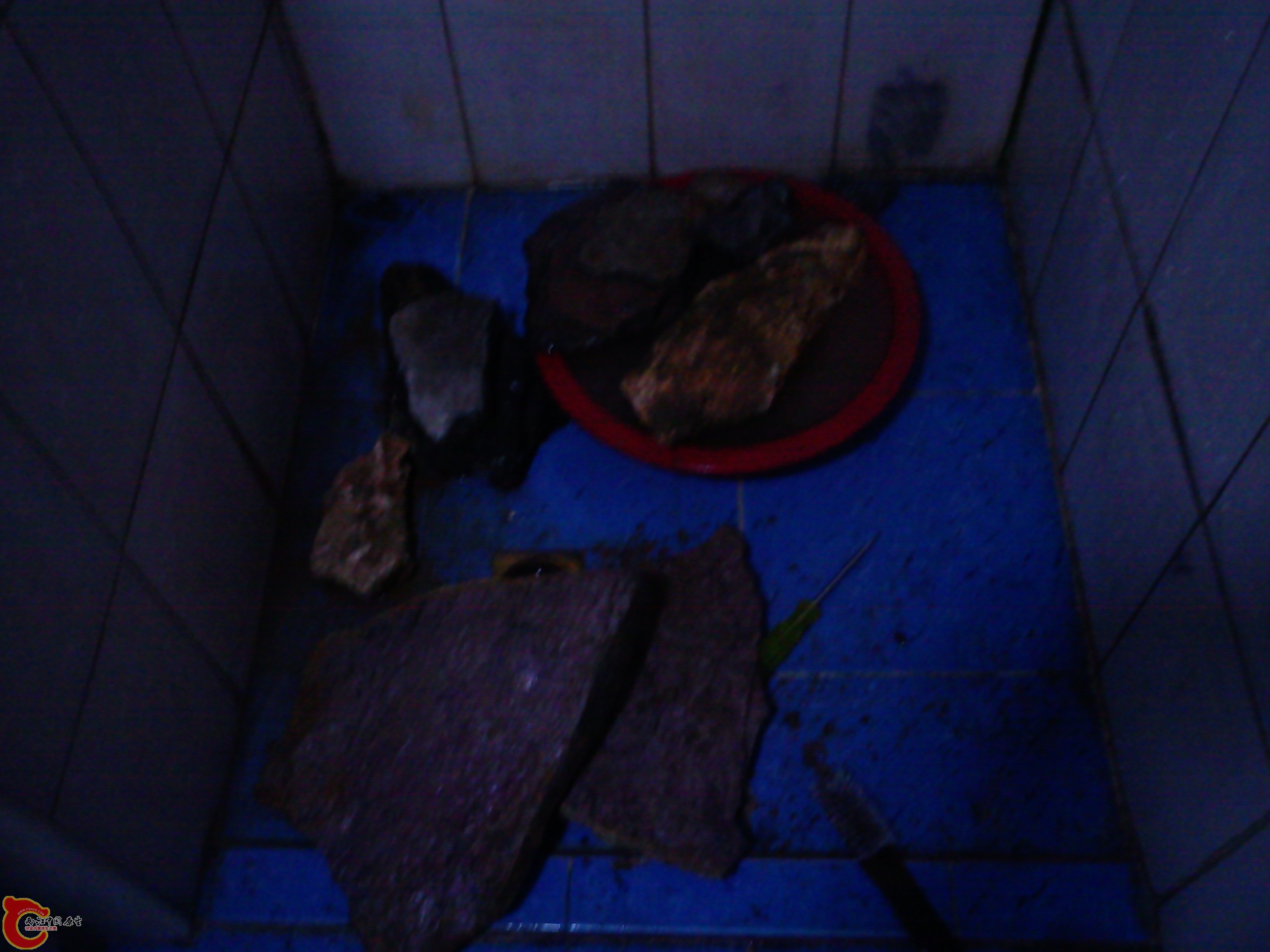 Camera_20111205_070703.jpg
