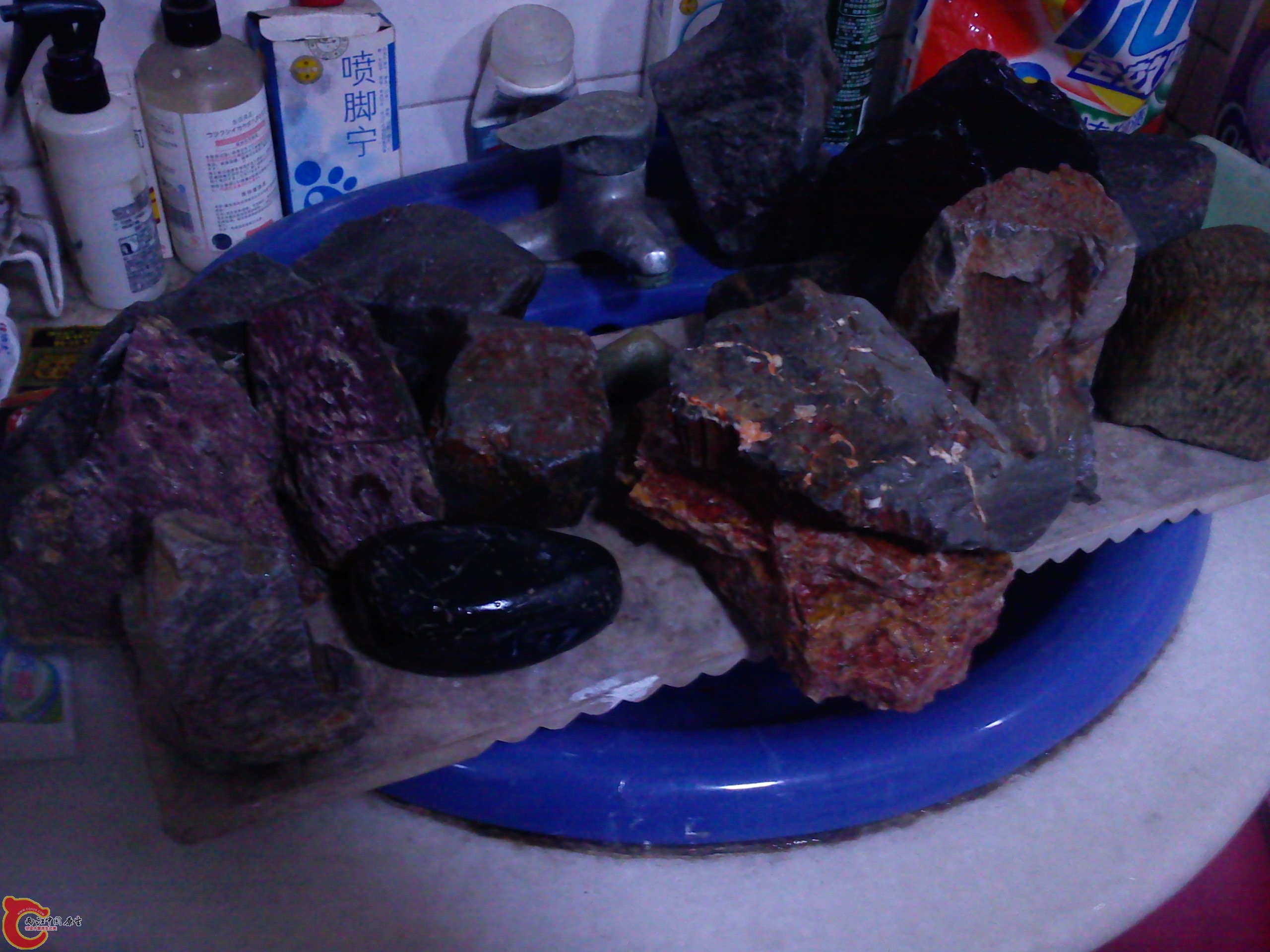 Camera_20111205_070720.jpg