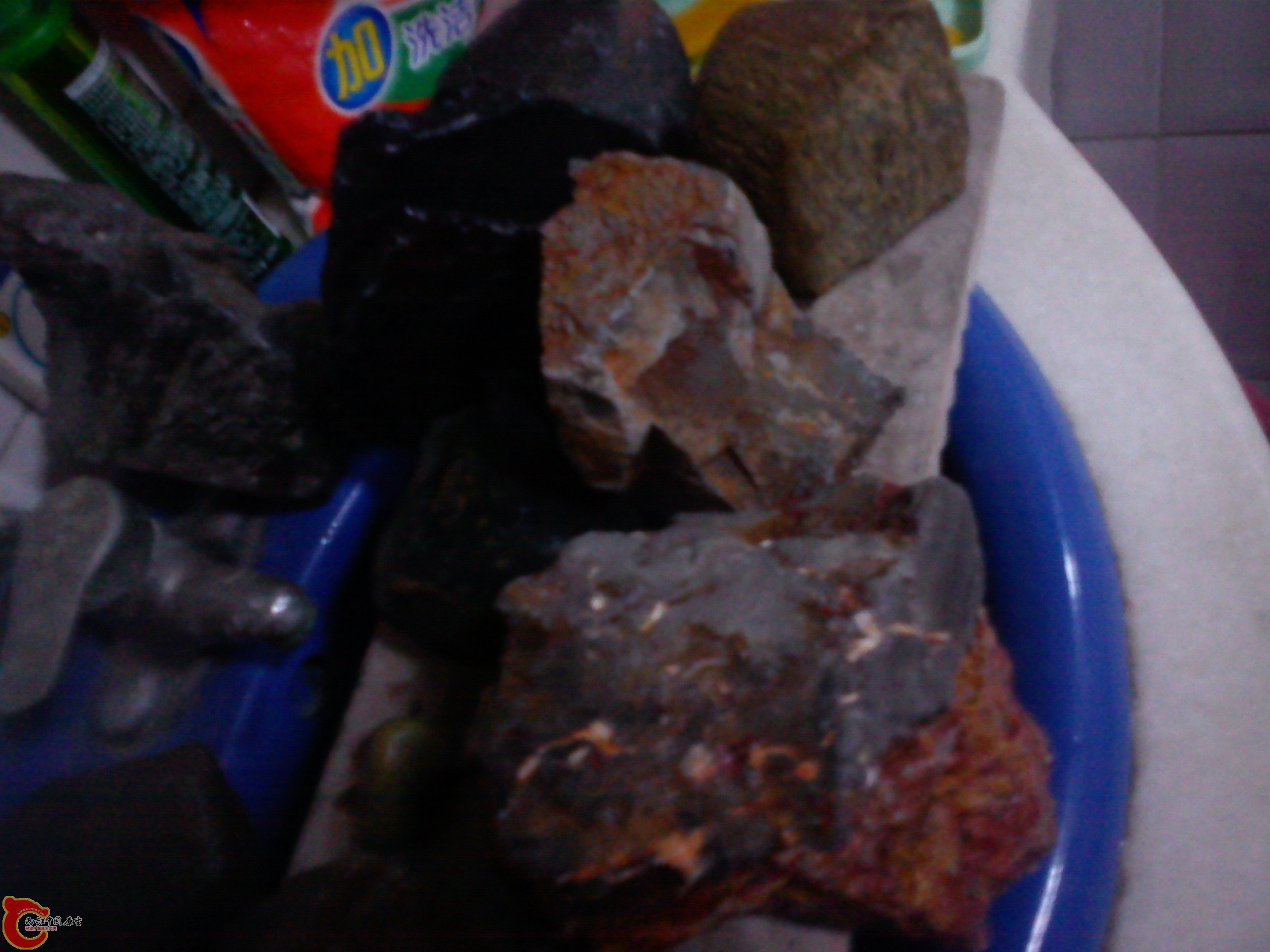 Camera_20111205_070752.jpg