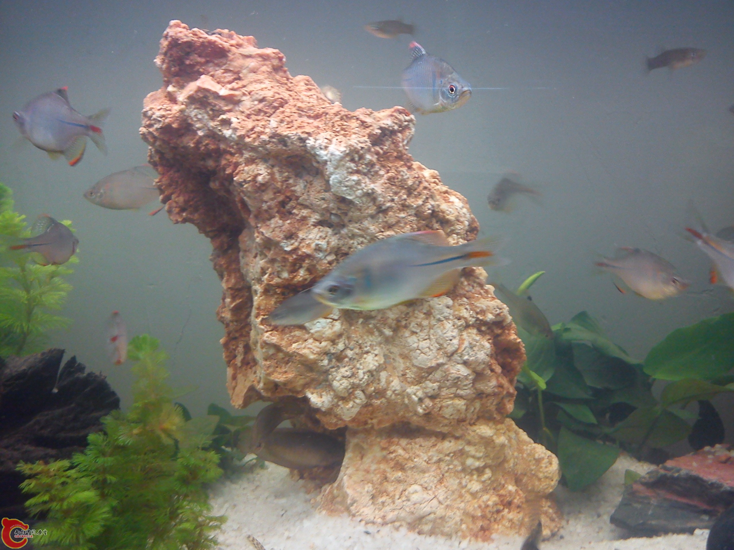 Camera_20111207_172106.jpg