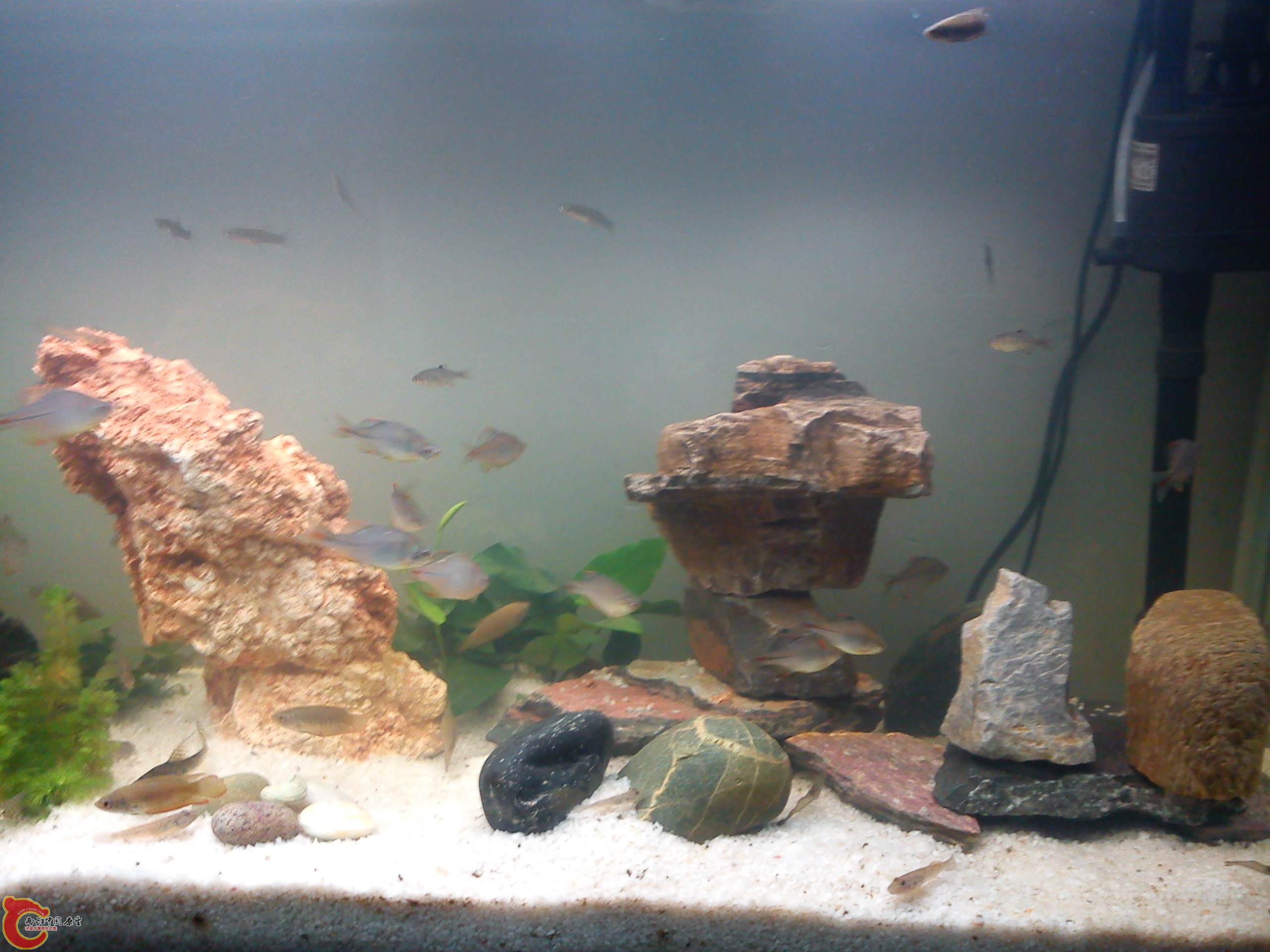 Camera_20111207_172206.jpg