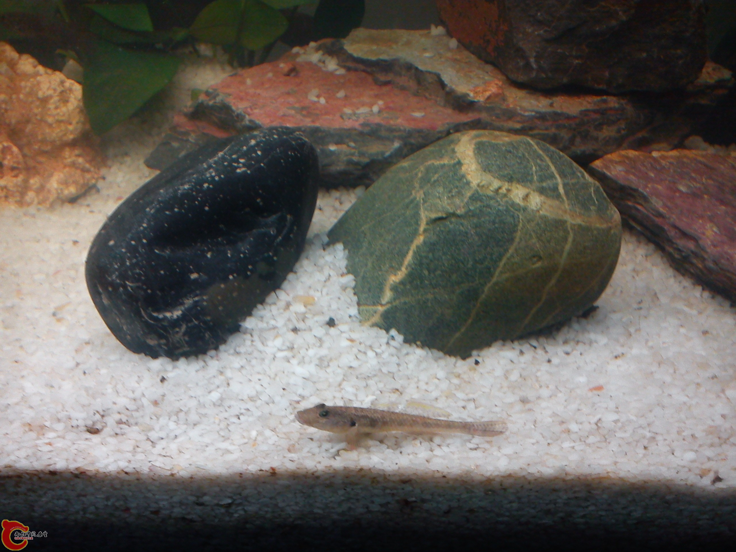 Camera_20111207_172417.jpg