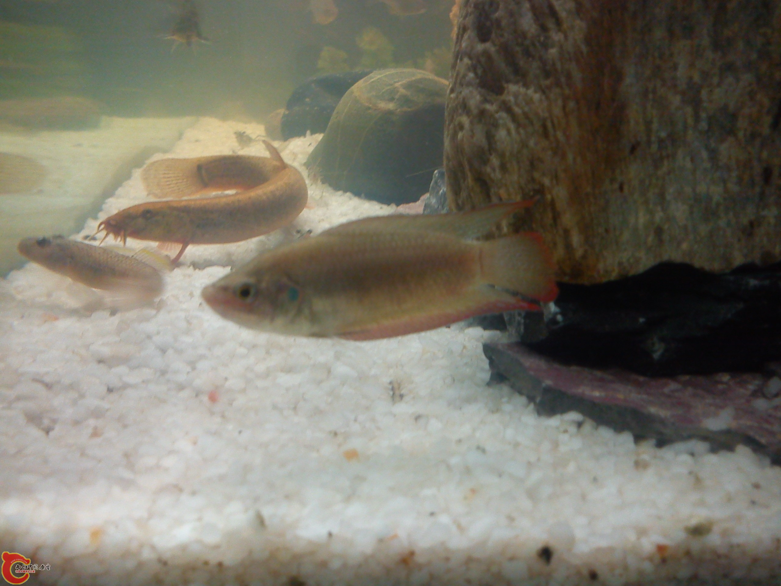 Camera_20111207_205756.jpg
