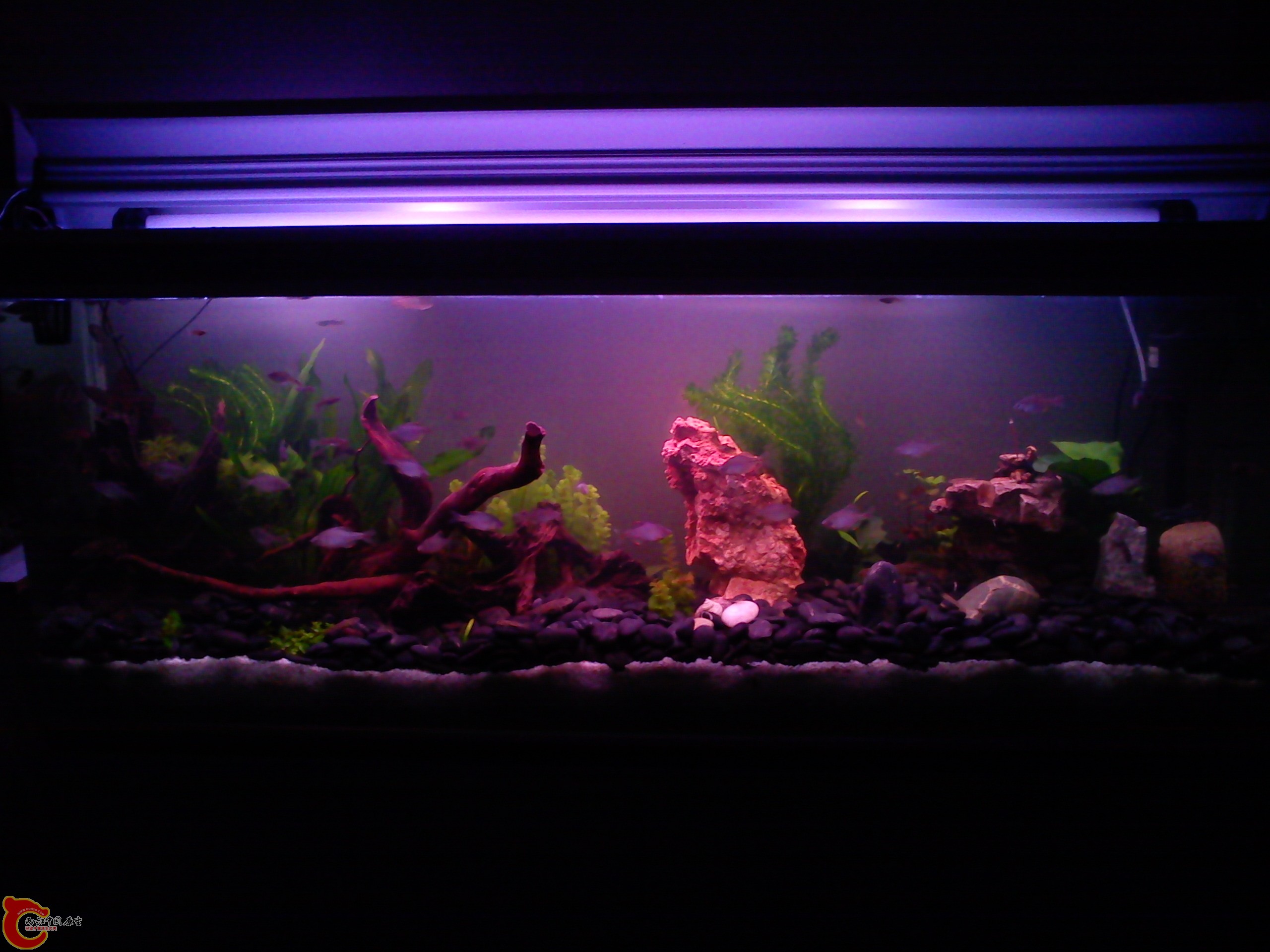 Camera_20111209_233231.jpg