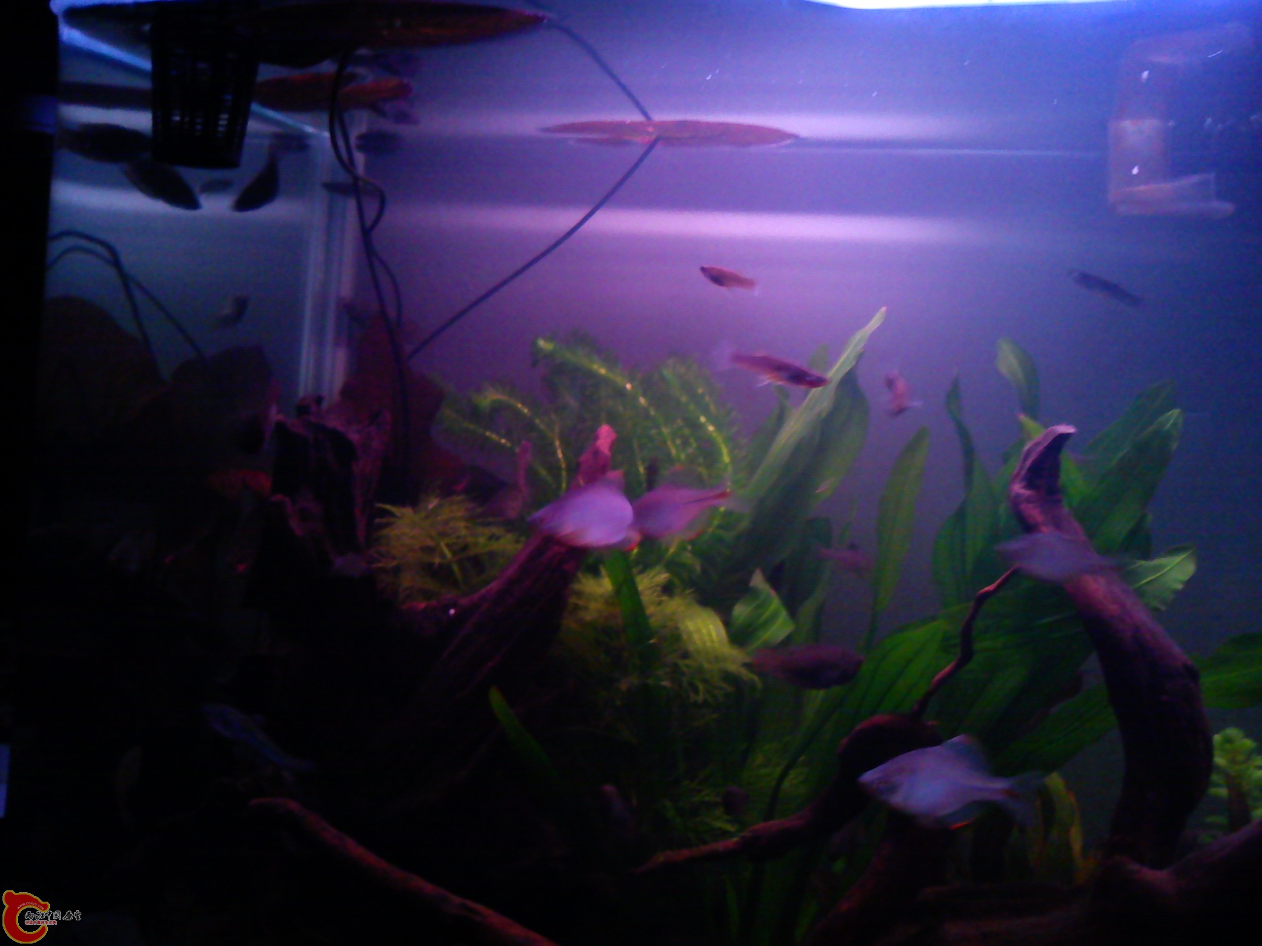 Camera_20111209_233344.jpg