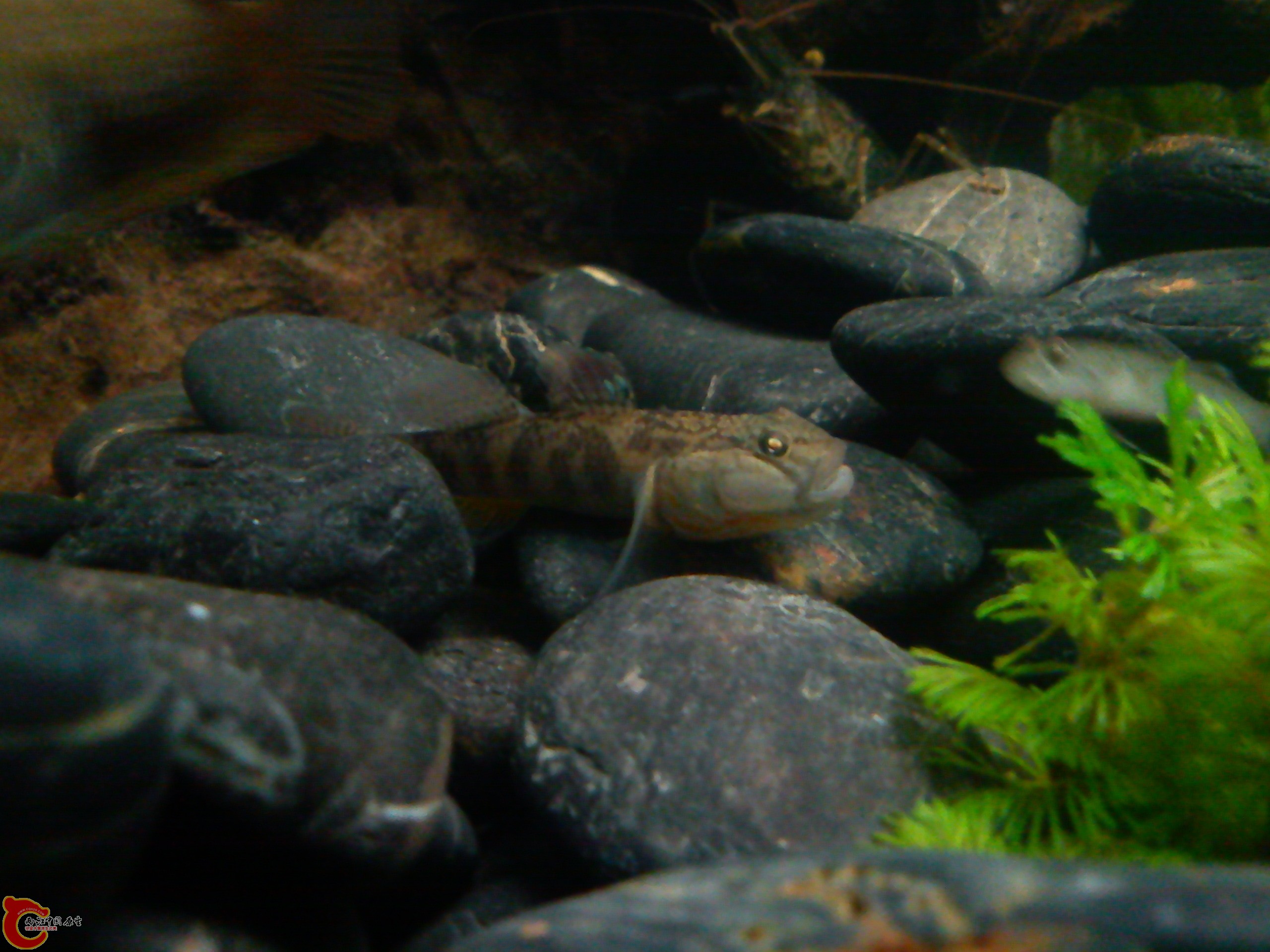 Camera_20111210_185940.jpg