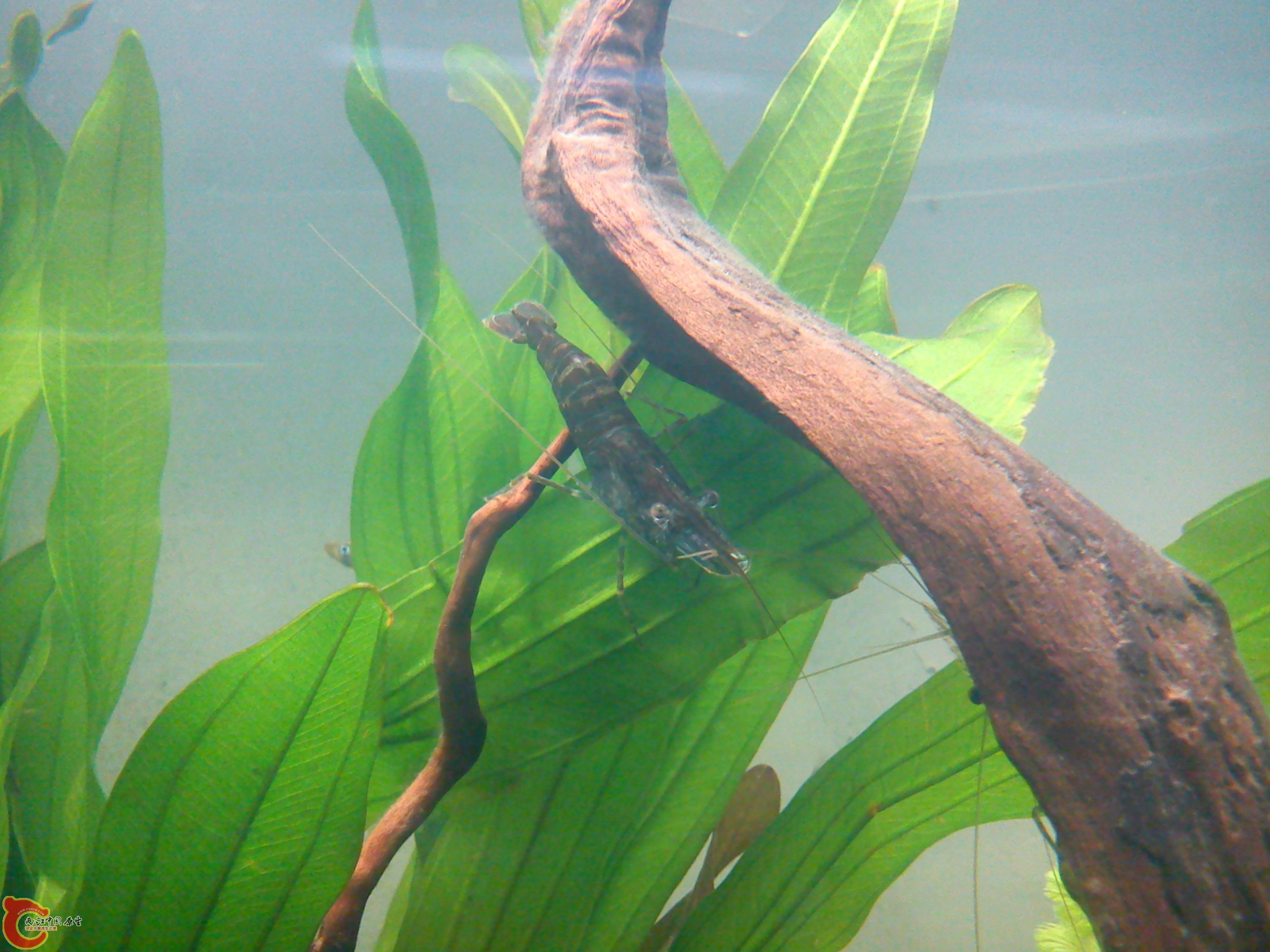 Camera_20111210_190311.jpg