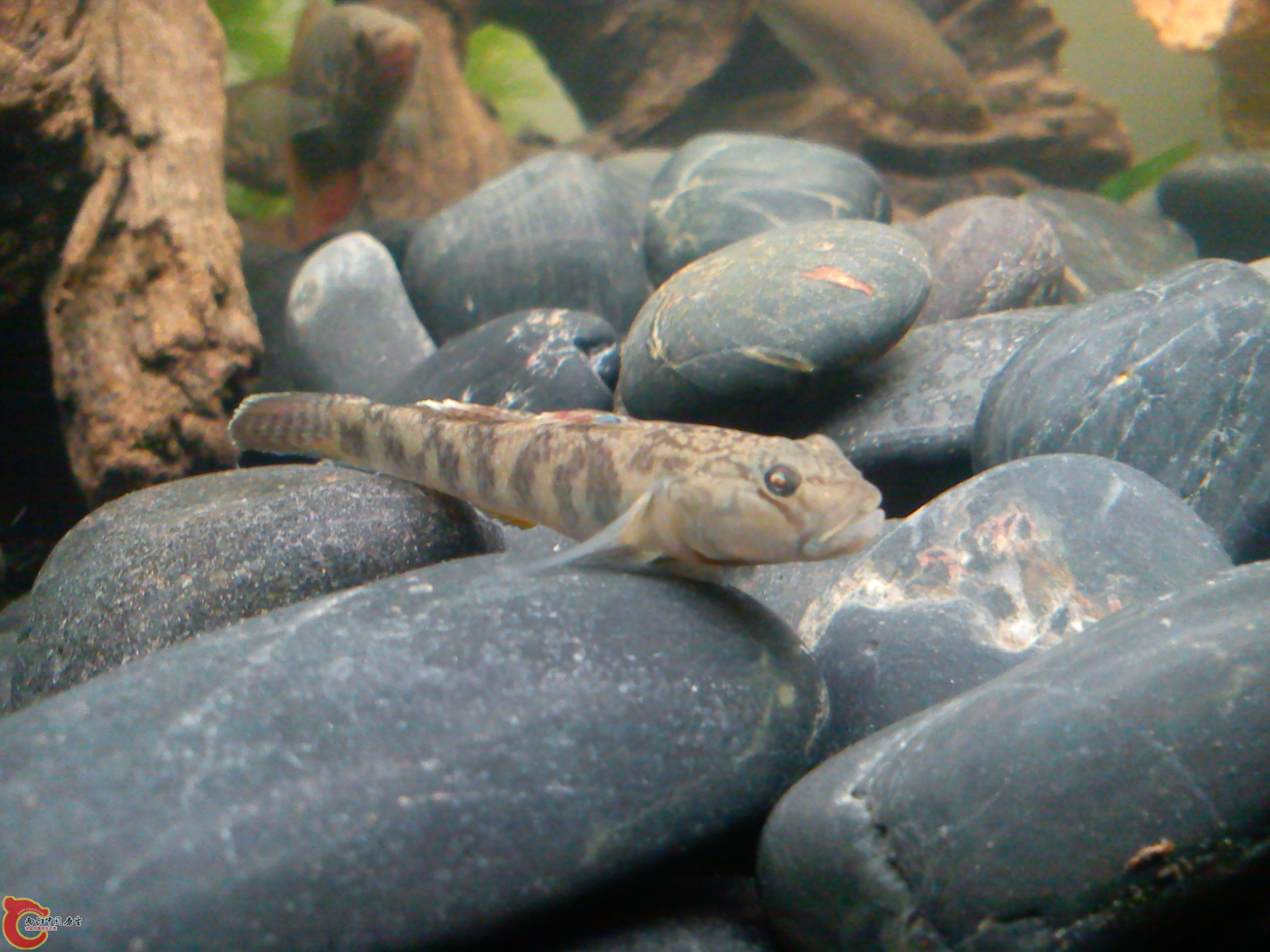 Camera_20111210_191133.jpg
