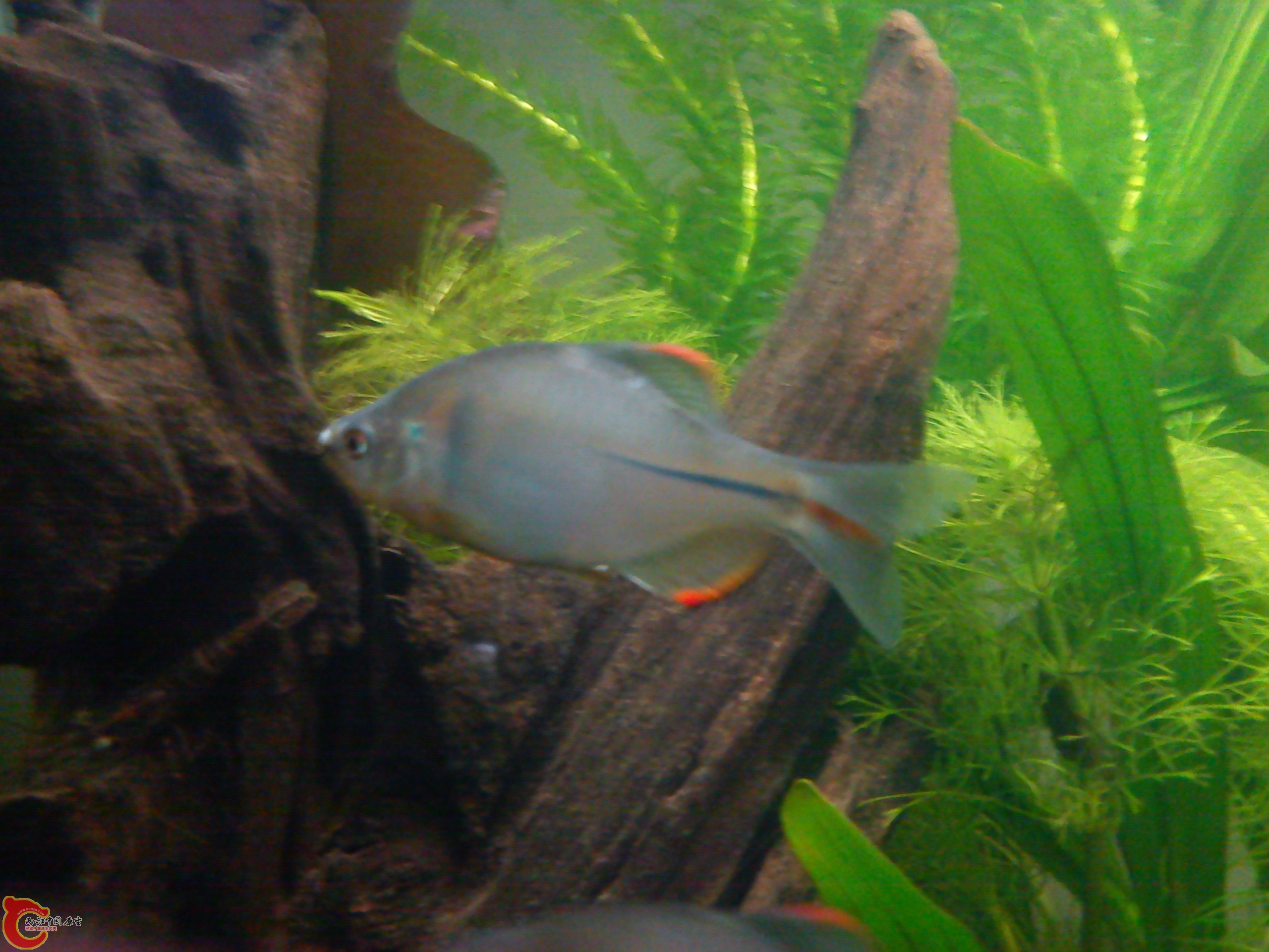 Camera_20111210_195115.jpg