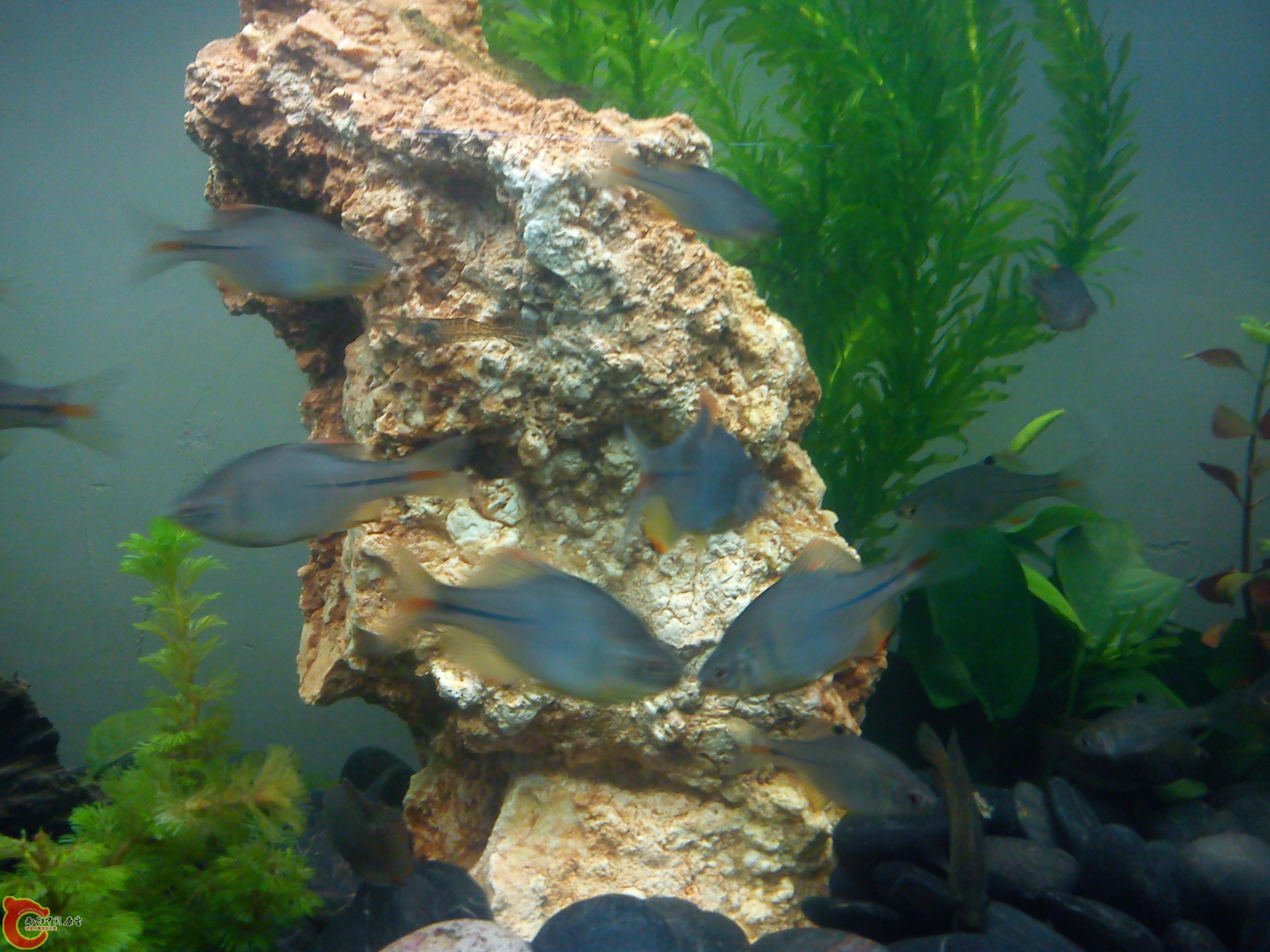 Camera_20111210_195313.jpg