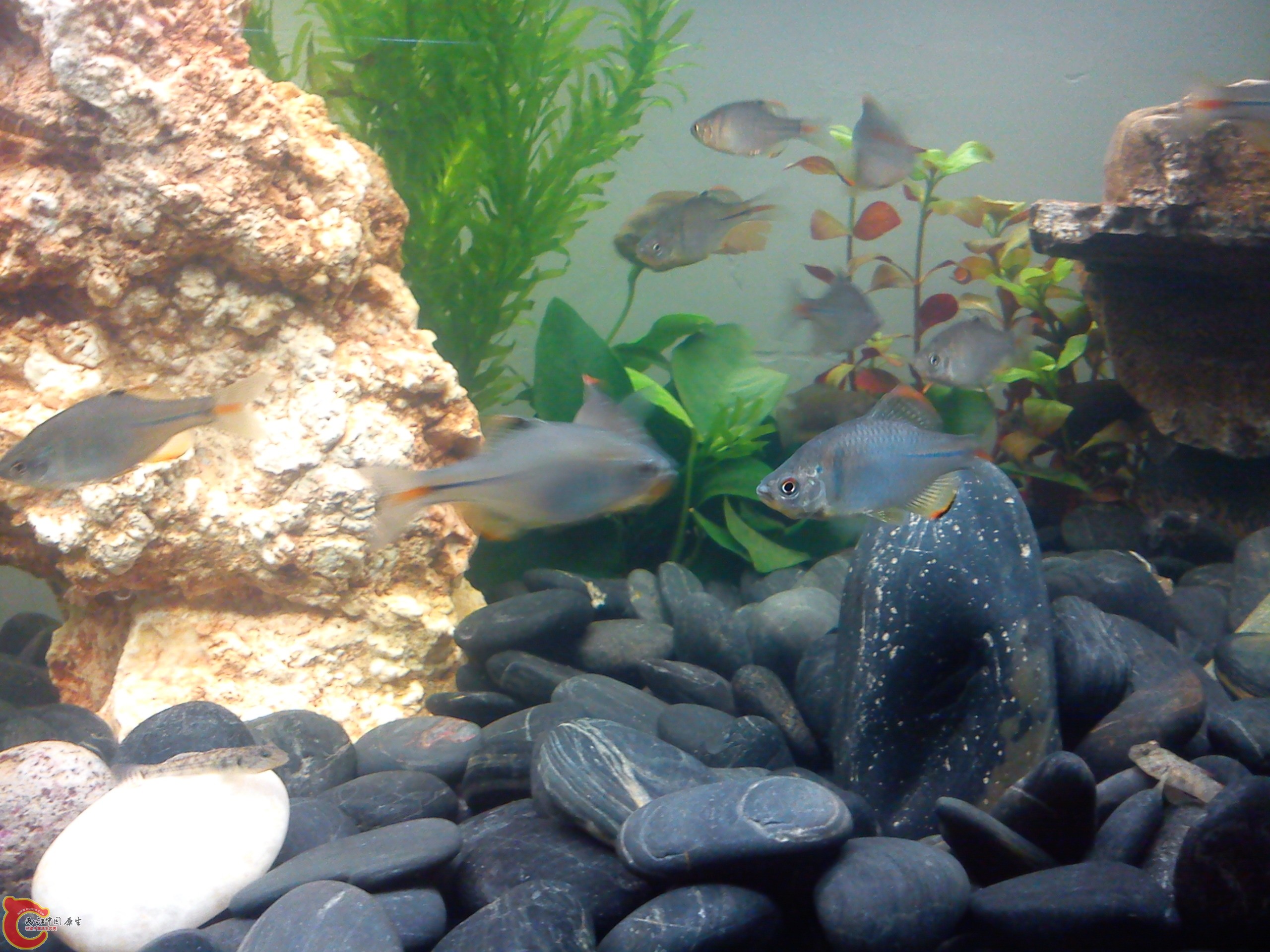 Camera_20111210_195556.jpg