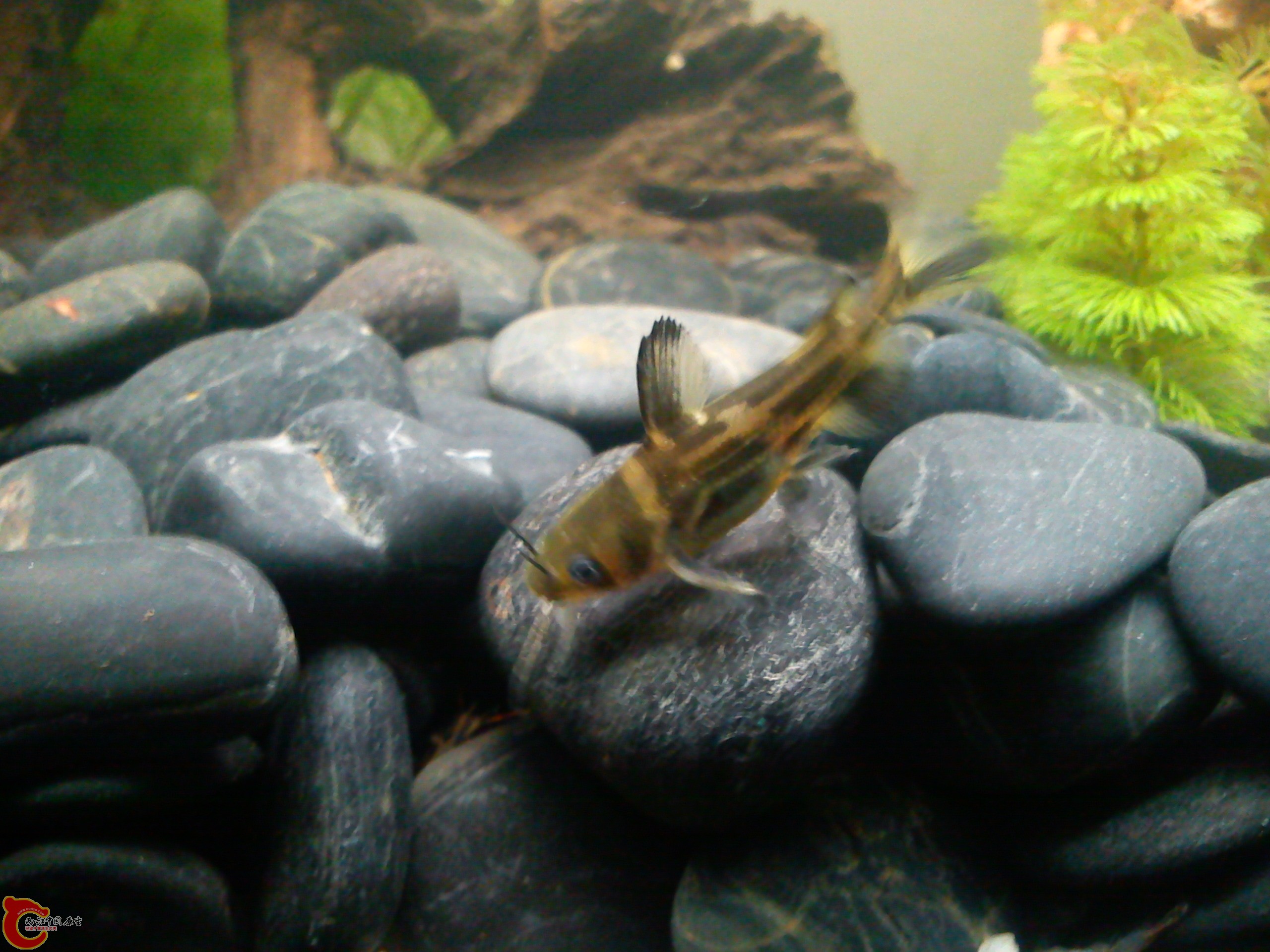 Camera_20111210_195655.jpg