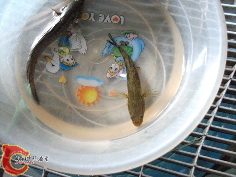 DSCF3616_副本.jpg