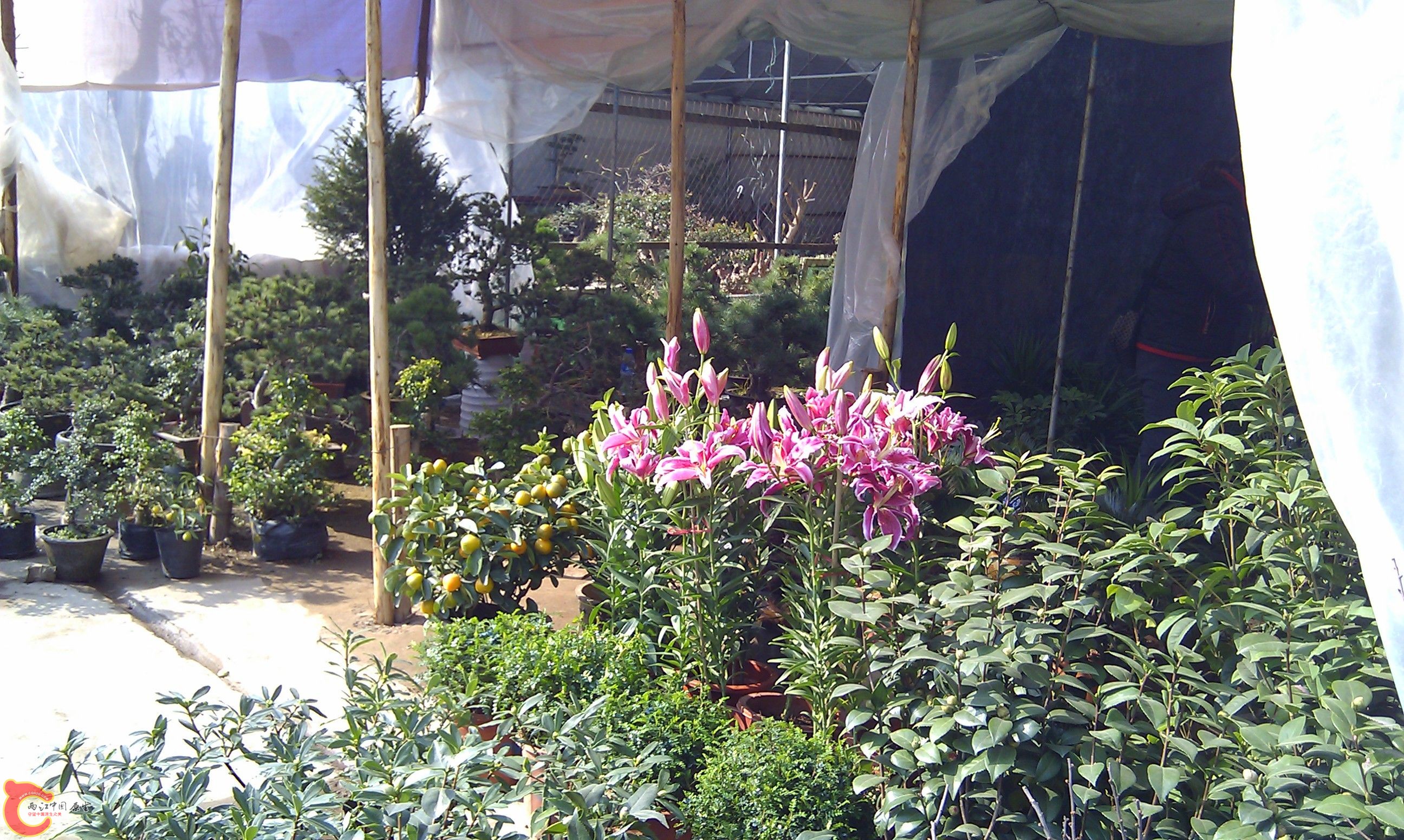 20111216-1817.JPG