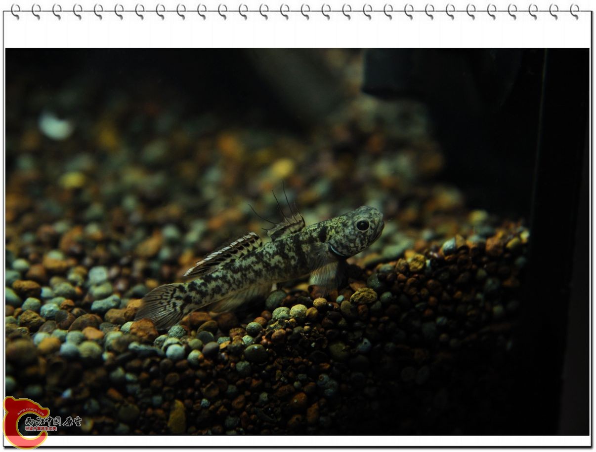 nEO_IMG_DSC_0041.jpg