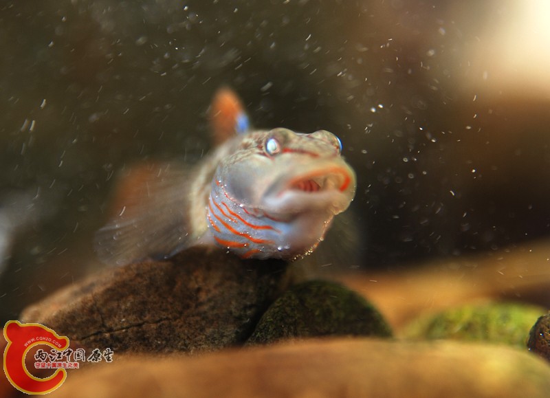 DSC_1139.JPG
