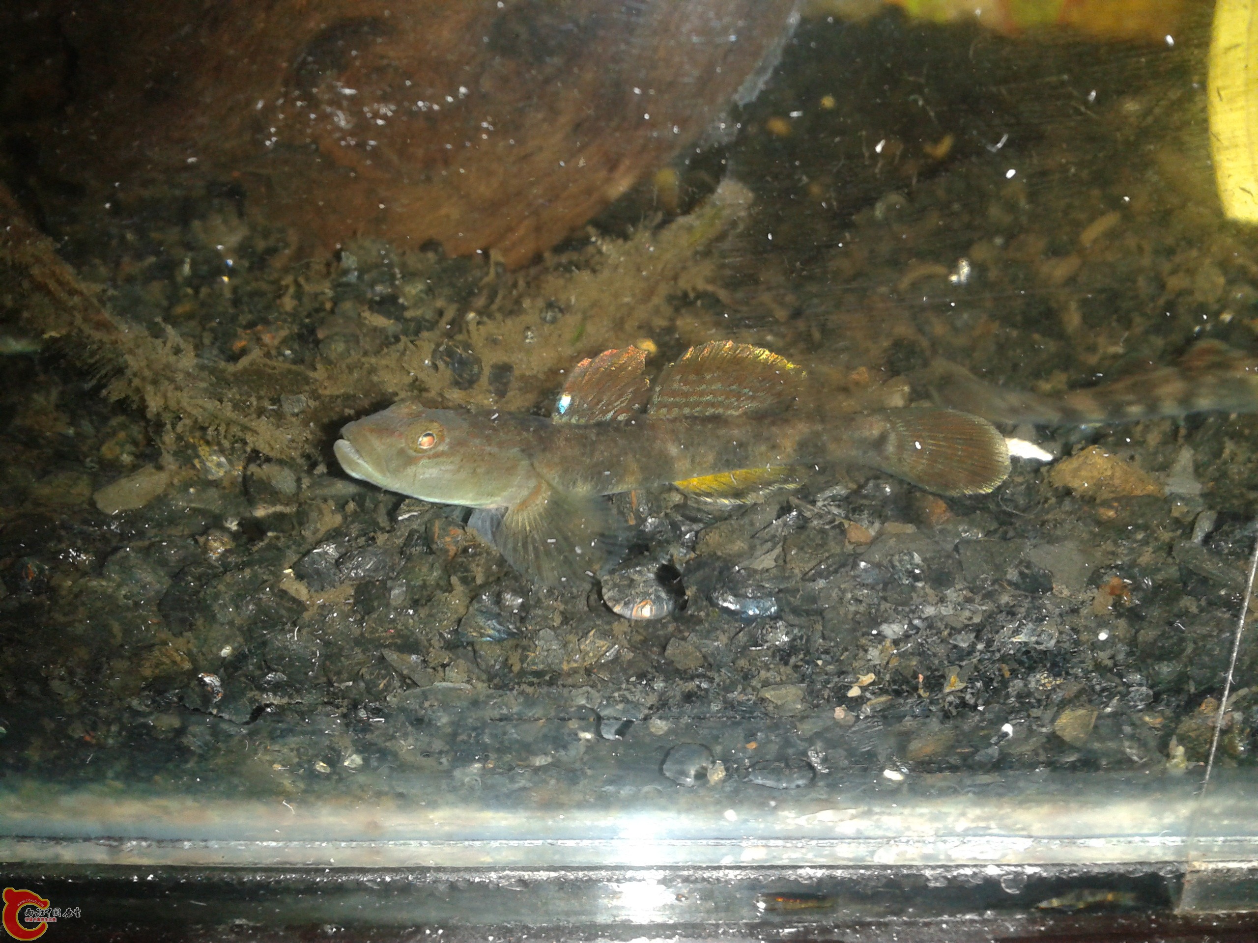 2011-12-22 23.33.49.jpg