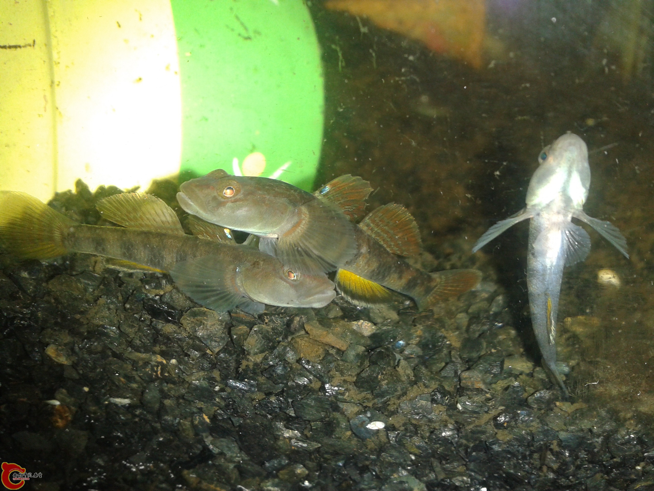 2011-12-22 23.35.05.jpg