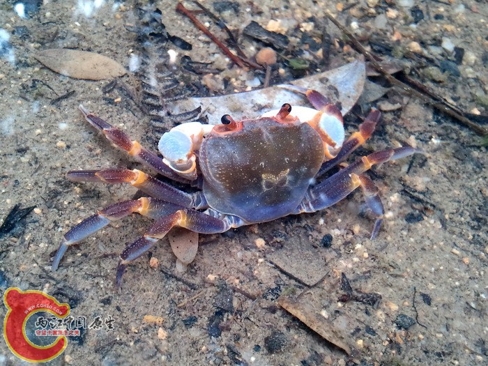 2011-12-22 12.58.55.jpg