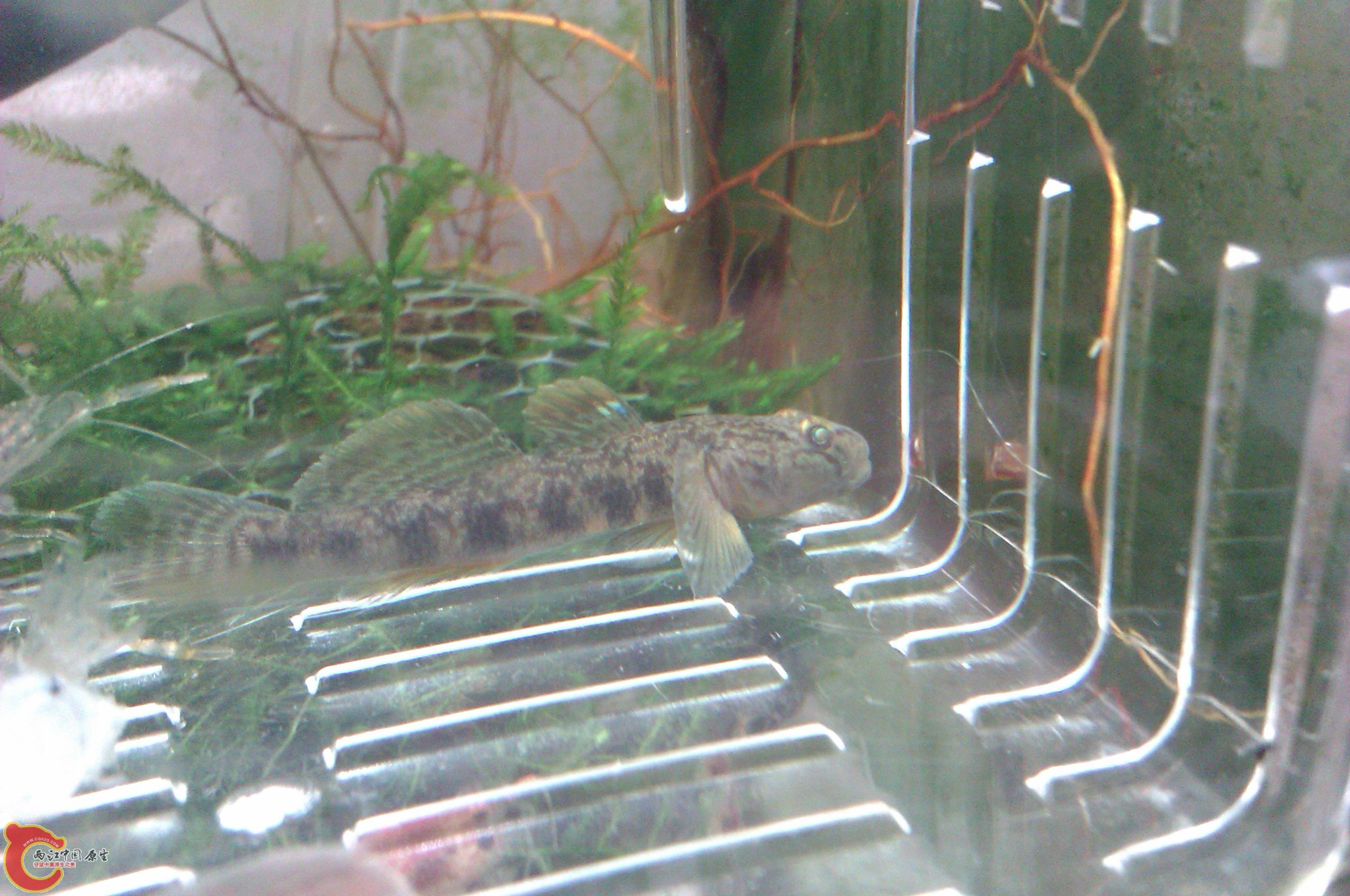 IMAG0040.jpg