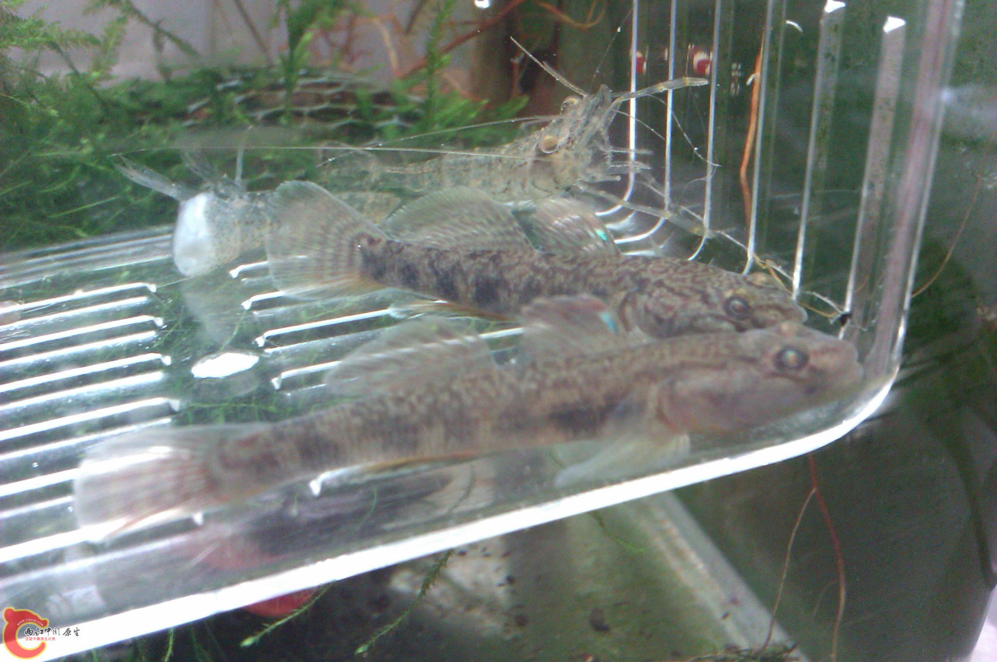 IMAG0039.jpg