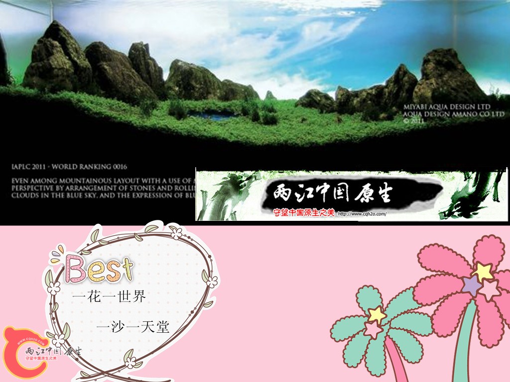 1111251402ee58acc54ad4c7b4_副本1.jpg