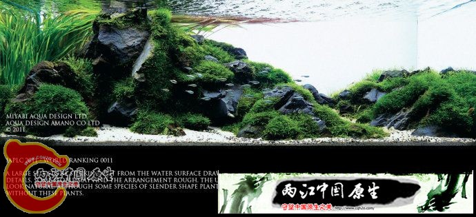 11112217039f93cabf1f1b612c_副本3.jpg