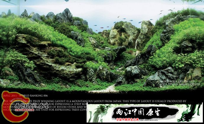 11111710464b39d91e8833ed1b_副本8.jpg