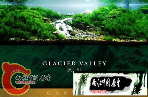 1109291600b5c7abb965d9b809_副本11.jpg