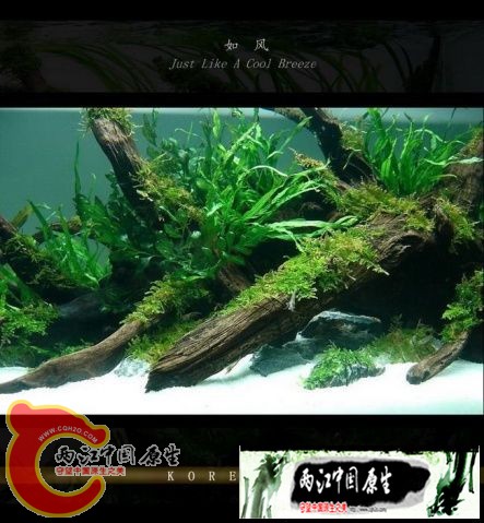 110929160134ce659b3b680540_副本12.jpg