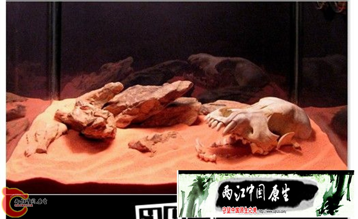1109291509966ba39fe4f78c21_副本15.jpg