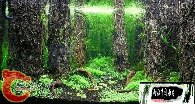1110071339bca235ba829f6587_副本19.jpg