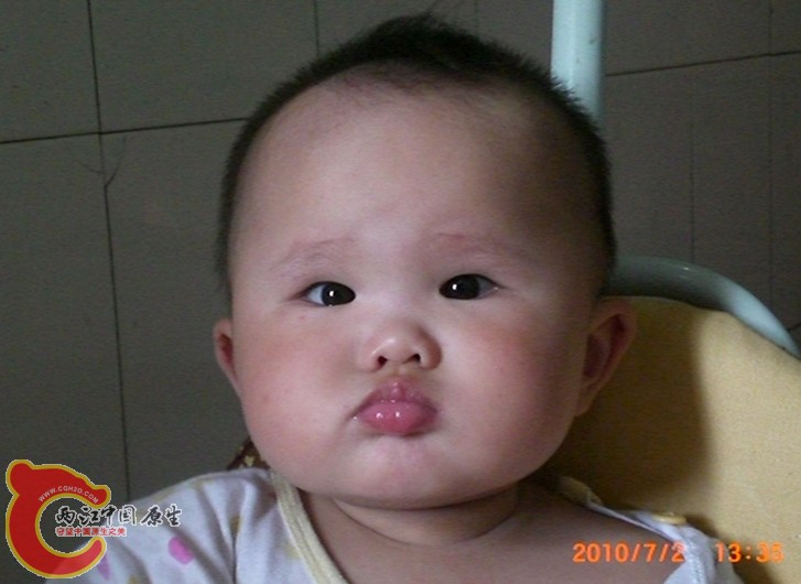 CIMG0038_副本3.jpg
