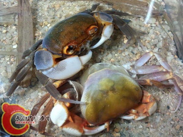 2011-12-30 20.47.42.jpg