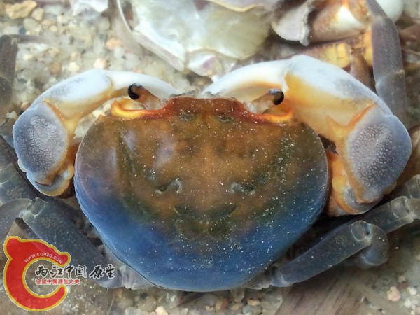 2011-12-30 20.48.59.jpg