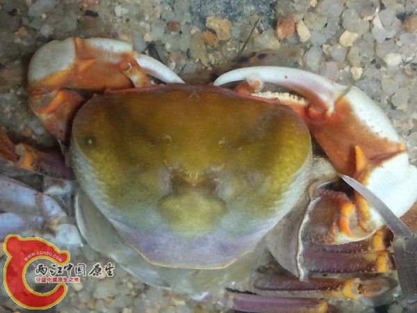 2011-12-30 20.49.42.jpg