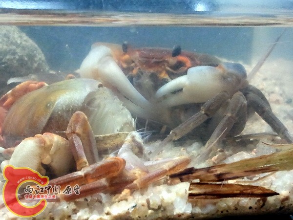 2011-12-30 20.50.32.jpg